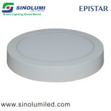21W Round Panel Light Surface Mounted LED for Ceiling Lighting
