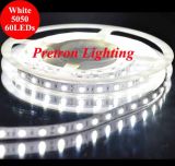 Hight Quality 5m Non-Waterproof White 5050 SMD Flexible LED Strip Light