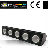 5X10W RGBW LED Blinders Disco Stage Light