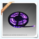 Longlife 5050-60 LED Strip Light, Colorful LED Light