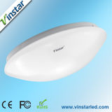 Surface Mounted LED Ceiling Light SMD 3014