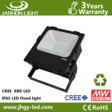 100W Meanwell Driver CE&RoHS LED Wall Washers Light