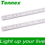 Tennex Industries Limited (Dongguan Factory)