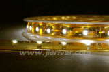 3528 SMD 30LEDs/M Flexible LED Strip Light (JR-F3528-30)