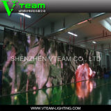 Vteam IP65 Full Color High Transparent LED Outdoor Display