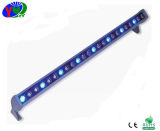 24W Newest LED Wallwasher Lighting (YC-WW6510-24W)