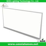 SMD LED Ceiling LED Panel Light (BP306020W)