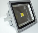 LED Flood Light (Energy saving 2years guarantee, Walsin)