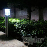 Attractive Design Solar Garden Lighting, LED Outdoor Light