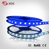 Warm White LED Strip Light SMD5050 60LEDs