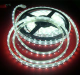 LED Strip Light 5050/3528