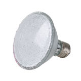 LED Spotlight (SD-120)
