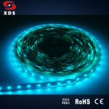 SMD 3528 LED Strip Light with High Lumen and High Quality
