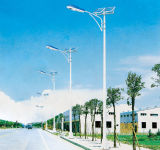 Economical Type 24W Solar Street LED Light in Africa