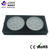 90W Red and Blue LED Grow Light for Greenhouse