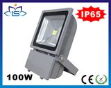 Lower Price Outdoor 100W LED Flood Light