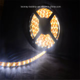 CE RoHS SMD3528 Flexible LED Strip Light with 4.8W/M