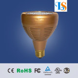 LED PAR30/38 30W/35W/40W with AC100-240V/DC12V