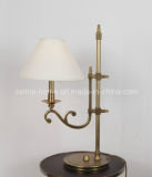 Decorative Metal Table Lamp (SL82163-1T)