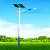 5 Years Warranty 30W-120W ISO Certified Solar Street Lights LED Light