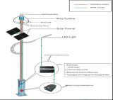 9m LED Wind Solar Hybrid LED Light for Street