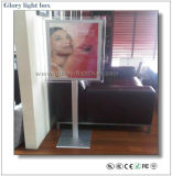 High Quality LED Crystal Light Box with Standing