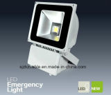 100W High Waterproof LED Flood Light (V-P01100)