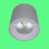 LED IP54 Ceiling Mounted Corridor Light
