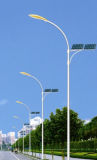 Wbr0088 40W Single Lamp LED Street Solar Light