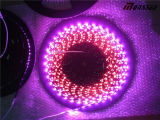 Side Emitting Color and CE RoHS LED Strip Light Rechargeable LED Light