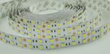 120LED/M SMD5050 Concolorous Double Row Non-Waterproof 12V Flexible LED Strip Light