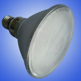 LED Lamp PAR38