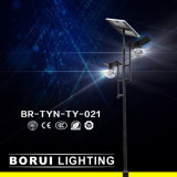 Br-Tyn-Ty-021 15W Solar Garden Lighting