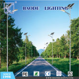 Customized Module 30-100W Solar LED Street Light (BDTYN70)