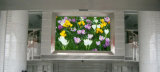 P4indoor Full-Color LED Display/Indoor Full-Color LED Display