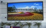 Indoor Full Color LED Display/P7.62 LED Display
