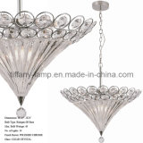 New Design of Fashional Creative Pendant Lamp (Tr005-1p)