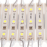 SMD5730 IP20/IP65 LED Module Light