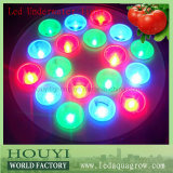 LED Pool Light Hight Power LED PAR56 18*1W