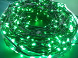 12V Green Clip Light Xmas Lighting/LED Cluster Light/LED Strip Light