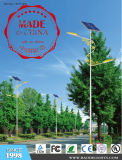 Audited Suppliers Recommended Solar LED Street Light