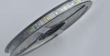 36LED/M SMD5050 RGB+Concolorous Non-Waterproof 12V Flexible LED Strip Light