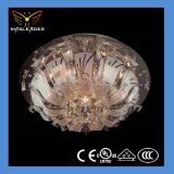 Quick Delivery Chandelier Light for 30 Days Only (MX209)