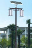 Best 30W Solar LED Garden Light with 3year Warranty (YCLG30)