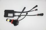 Car LED CREE Headlight Kit H8-50W