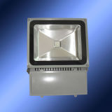Outdoor LED Flood Light 230V (CH-FY-100WX-1-A3)