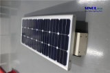 80W 'all-in-One' Solar Powered LED Light for Street
