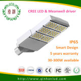 100W LED Street Light with 5 Years Warranty (QH-STL-LD90S-100W)