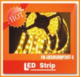IP65 Waterproof RGB LED Strip Light SMD5050 150LEDs LED Rope Light