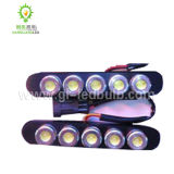 High-Power LED Light (GL-235)
